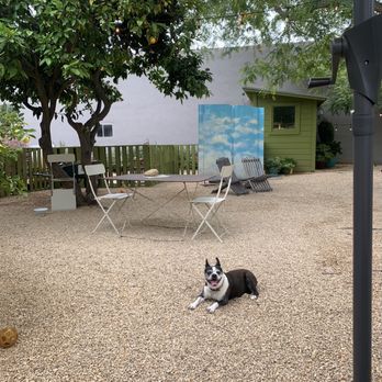Dart Coffee Co - More garden seating (complete with cute dog!) - Coffee Roasteries Near Me - Santa Barbara, California Dart Coffee Co - More garden seating (complete with cute dog!) - Coffee Roasteries Near Me - Santa Barbara, California