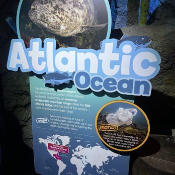 Sea Life - Aquariums Near Me - Orlando, Florida Sea Life - Aquariums Near Me - Orlando, Florida