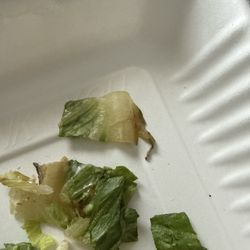 Shenanigans Pub - Rotten lettuce in the CHICKEN RANCH WRAP.