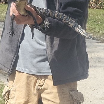 Babcock Ranch Eco Tours - Tours Near Me - Punta Gorda, Florida