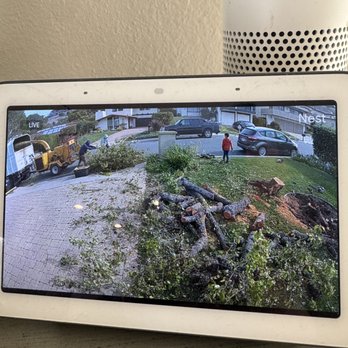 JYL Affordable Tree Care Services - Tree Services Near Me - Lynwood , California JYL Affordable Tree Care Services - Tree Services Near Me - Lynwood , California