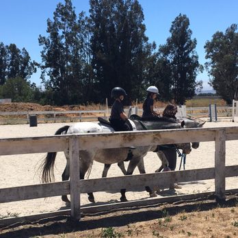 Jeanette Arnaout Training - Horseback Riding Near Me - Gilroy, California Jeanette Arnaout Training - Horseback Riding Near Me - Gilroy, California