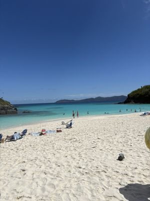 Trunk Bay by null