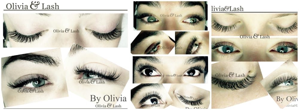The Lash Standard Logo