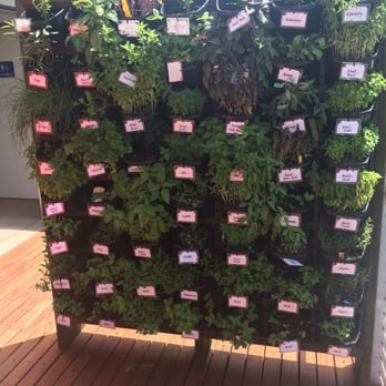 Café Discovery - Cafes Near Me - Agnes Water, QLD