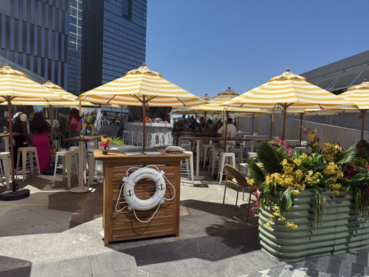 Sailor's Choice by null