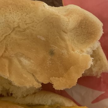 Wendy's - mold on the bun. - Fast Food Near Me - Saint George, Utah