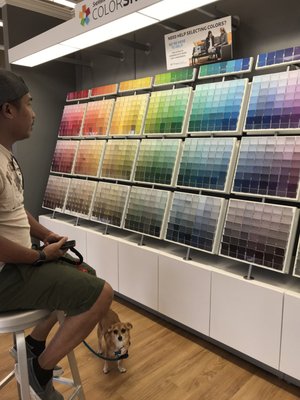 Sherwin-Williams Paint Store