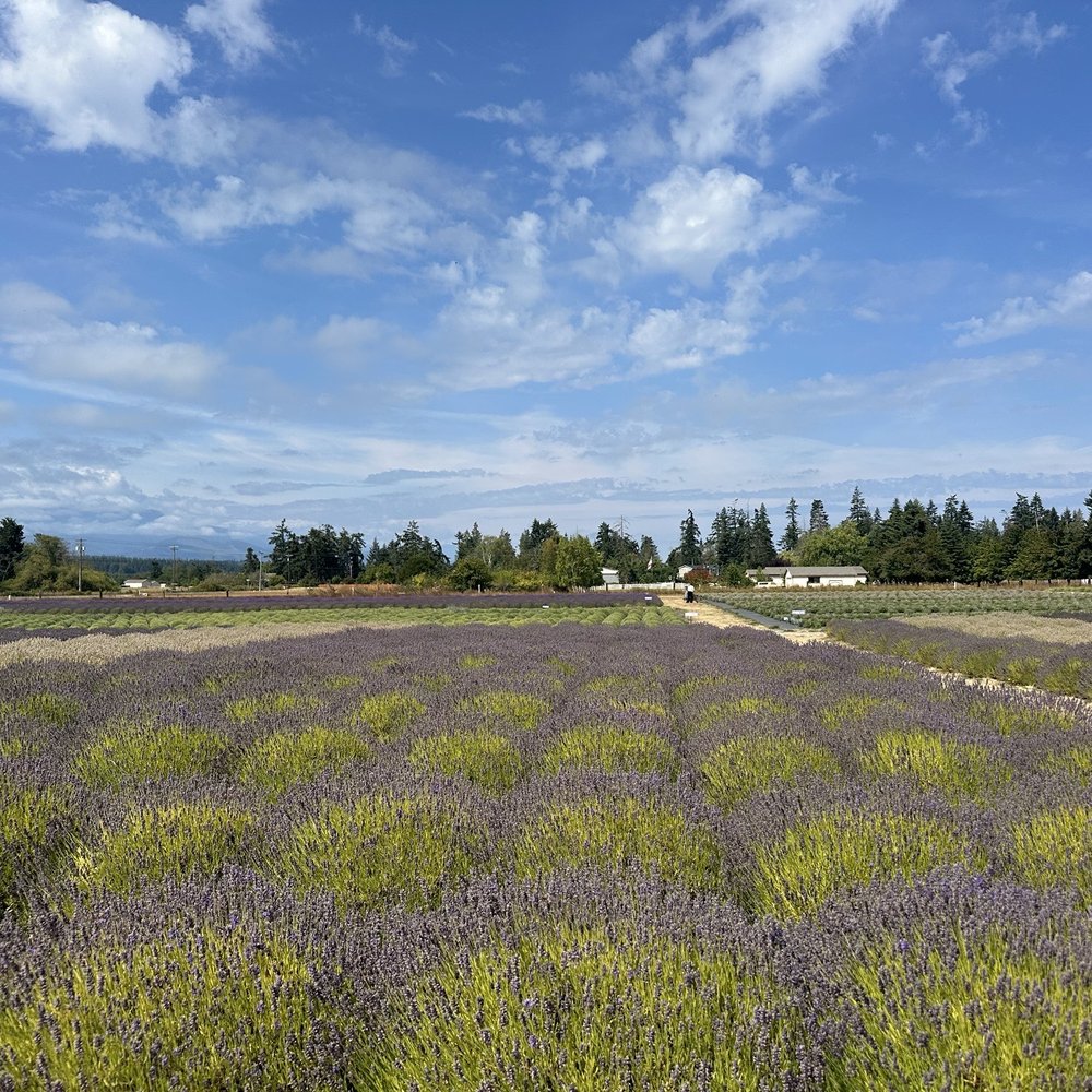 B & B Family Farm - Walking Tours Near Me - Sequim, Washington B & B Family Farm - Walking Tours Near Me - Sequim, Washington