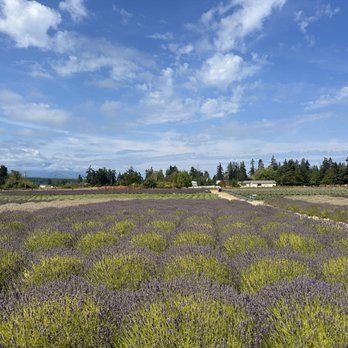 B & B Family Farm - Walking Tours Near Me - Sequim, Washington