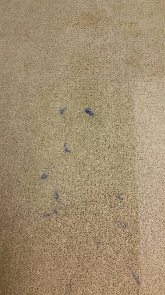 HAWKEYE CHEMDRY Updated May 2024 15 Hawkeye Ln, Geneseo, Illinois