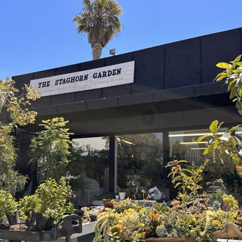 The Staghorn Garden - Store front - Nurseries & Gardening Near Me - Santa Monica, California The Staghorn Garden - Store front - Nurseries & Gardening Near Me - Santa Monica, California