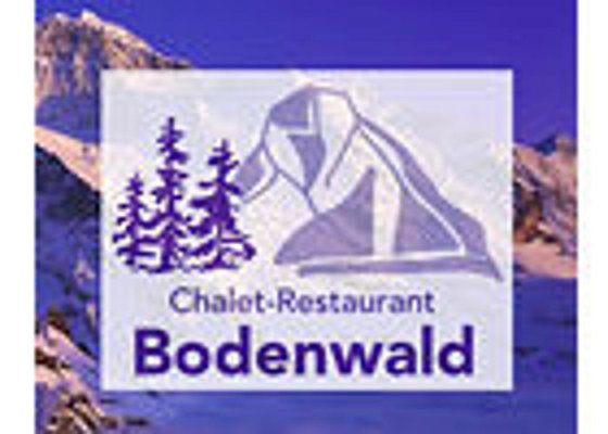 Chalet Bodenwald by null