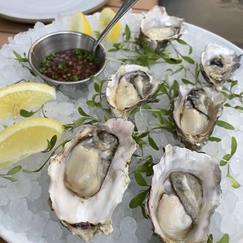 Layla - Oysters - Mediterranean Near Me - Sonoma, California
