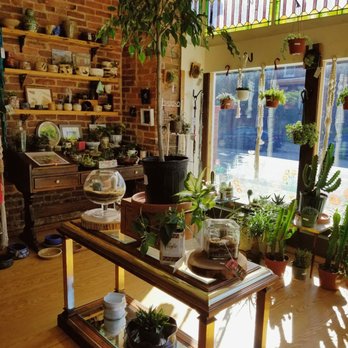 B Willow - Front of Store - Nurseries & Gardening Near Me - Baltimore, Maryland