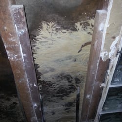 Environmental Protective Solutions - Behind the walls of a shower that had "green board" and a bad shower pan. It was 1/2" thick at the worst spot.