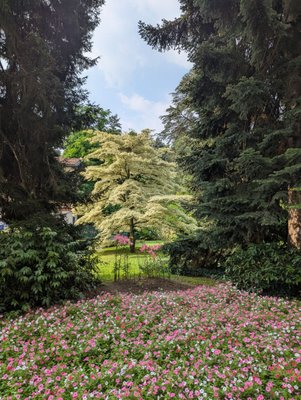 Giardini Botanici di Villa Taranto by null