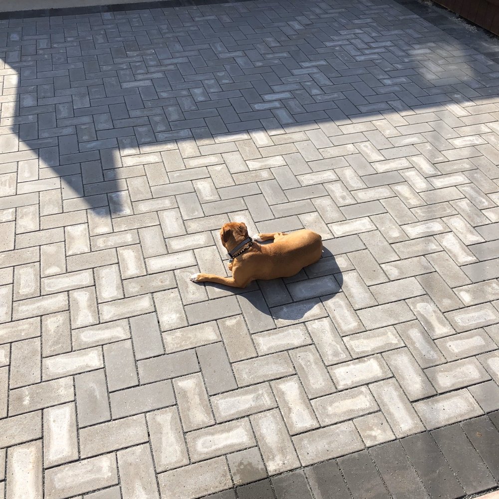 Lopez Concrete & Brick Paving - Grass removed and pavers placed. Dogs love it. - Masonry/Concrete Near Me Lopez Concrete & Brick Paving - Grass removed and pavers placed. Dogs love it. - Masonry/Concrete Near Me