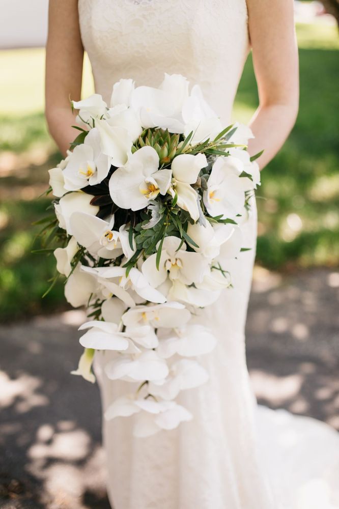 BLUE IRIS FLOWERS Updated June 2024 24 Reviews 918 Frederick Rd