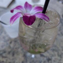 Palm Tree Club - Lavender Hugo Spritz