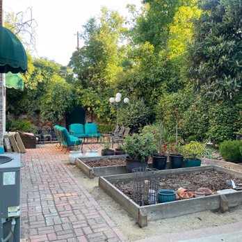 PJ Gardening Service - Before the clean up started in the backyard. - Gardeners Near Me PJ Gardening Service - Before the clean up started in the backyard. - Gardeners Near Me