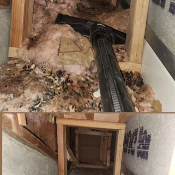 Pest Busters Pest Solutions - Pest Control Near Me - Antioch, California Pest Busters Pest Solutions - Pest Control Near Me - Antioch, California