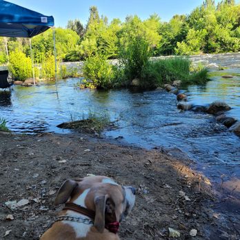 Rivernook Campground - Campgrounds Near Me - Kernville, California Rivernook Campground - Campgrounds Near Me - Kernville, California