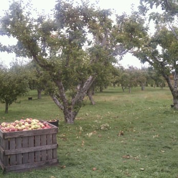 Pippin Orchard - Specialty Food Near Me - Cranston, Rhode Island