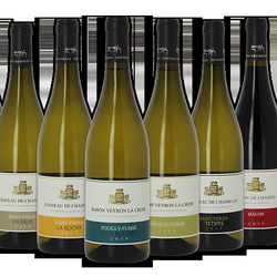 Chateau de Chasselas - Les vins du domaine