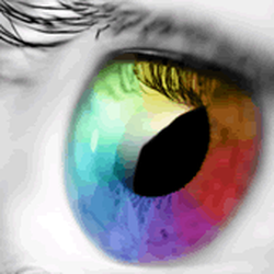 Digital Print Resources