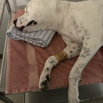 Animal Emergency Center - Veterinarians Near Me - Yorktown, Virginia Animal Emergency Center - Veterinarians Near Me - Yorktown, Virginia