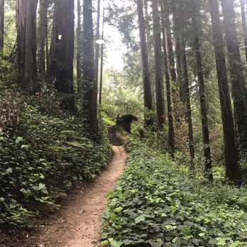 Glen Oaks Big Sur - Trail from cabins to restaurant for breakfast ~ just gorgeous! - Hotels Near Me - Big Sur, California Glen Oaks Big Sur - Trail from cabins to restaurant for breakfast ~ just gorgeous! - Hotels Near Me - Big Sur, California