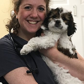 Great Neck Veterinary Clinic - Veterinarians Near Me - Virginia Beach, Virginia Great Neck Veterinary Clinic - Veterinarians Near Me - Virginia Beach, Virginia