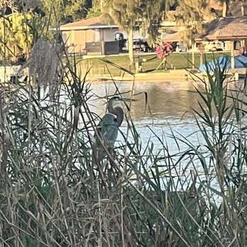 Melear Park - Parks Near Me - Lantana, Florida