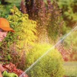 Dicava Lawn Sprinkler System