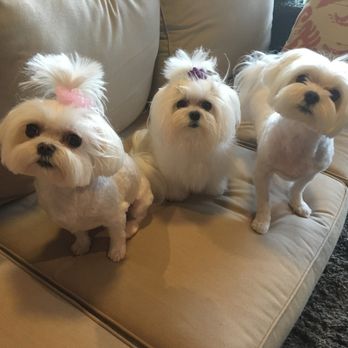 PINE LAKES ANIMAL HOSPITAL - Updated January 2025 - 14 Reviews