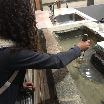 Kobe Pearl & Gem - My 14yo selecting her mollusk. - Jewelry Near Me - Redondo Beach, California