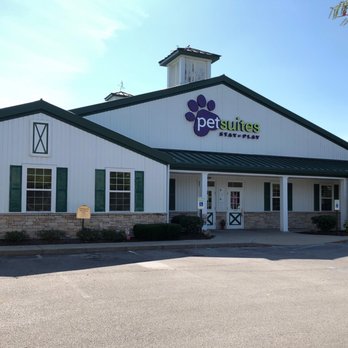 PetSuites Hamburg - PetSuites Hamburg - Pet Groomers Near Me - Lexington, Kentucky PetSuites Hamburg - PetSuites Hamburg - Pet Groomers Near Me - Lexington, Kentucky