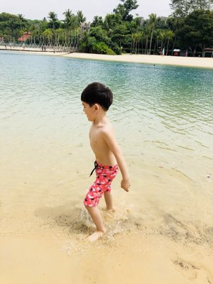 Palawan Beach by null