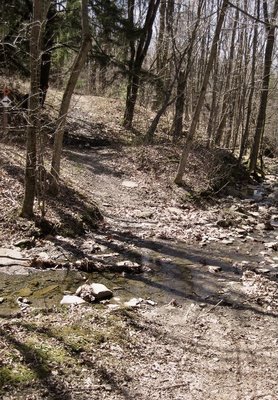 Finger Lakes National Forest by null