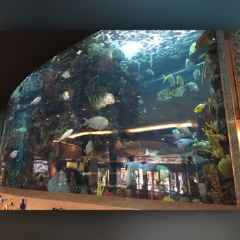 Chart House - Incredible fish tank - Seafood Near Me - Las Vegas, Nevada Chart House - Incredible fish tank - Seafood Near Me - Las Vegas, Nevada