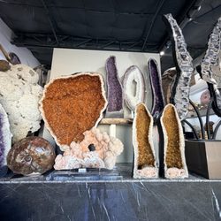 Empressive Earth Gallery