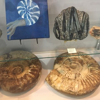 Earth Experience - Museums Near Me - Murfreesboro, Tennessee Earth Experience - Museums Near Me - Murfreesboro, Tennessee