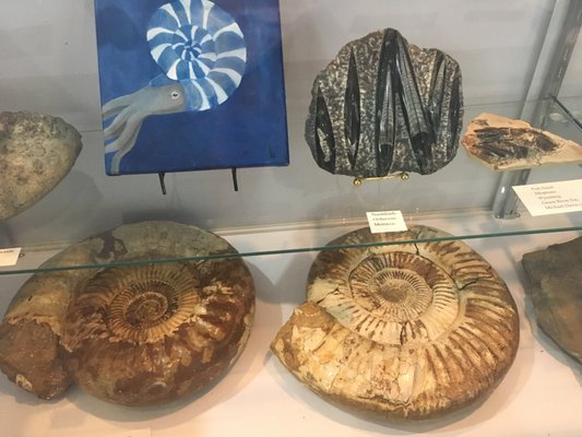 Earth Experience - Middle Tennessee Museum of Natural History by null
