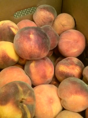 Clark Family Orchards by null