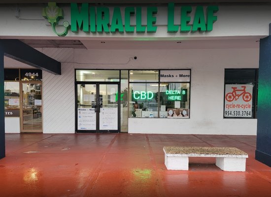 Miracle Leaf by null