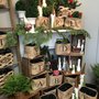 Photo of Simply Garden