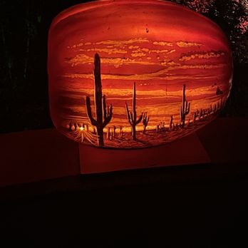 Tohono Chul - Museums Near Me - Tucson, Arizona Tohono Chul - Museums Near Me - Tucson, Arizona