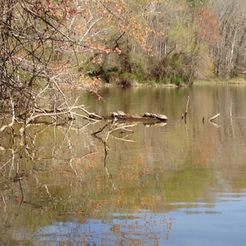 Lake Accotink Park - All the turtles. So beautiful walking in this park. - Parks Near Me - Springfield, Virginia Lake Accotink Park - All the turtles. So beautiful walking in this park. - Parks Near Me - Springfield, Virginia