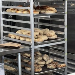 Pigeon Bagels